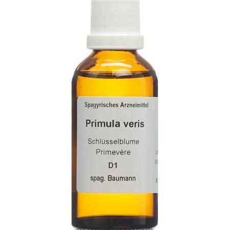 SPAGYROS SPAGYR Primula veris - PrimeCare Global