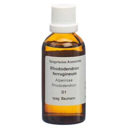 SPAGYROS SPAGYR Rhododendron ferr - PrimeCare Global