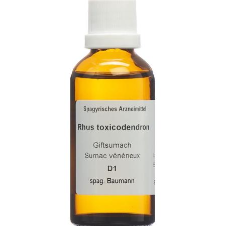 SPAGYROS SPAGYR Rhus toxicodendron - PrimeCare Global