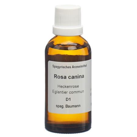 SPAGYROS SPAGYR Rosa canina - PrimeCare Global