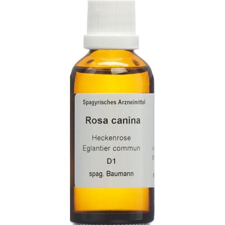 SPAGYROS SPAGYR Rosa canina - PrimeCare Global