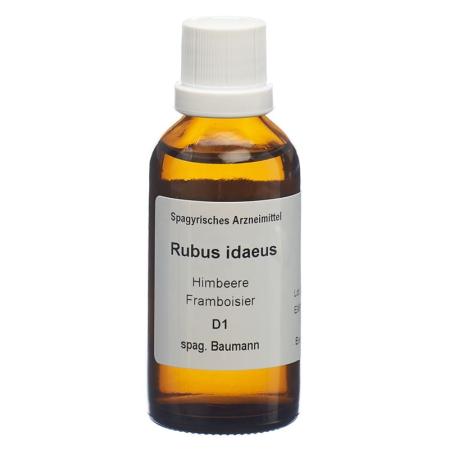SPAGYROS SPAGYR Rubus idaeus - PrimeCare Global