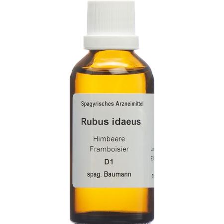 SPAGYROS SPAGYR Rubus idaeus - PrimeCare Global