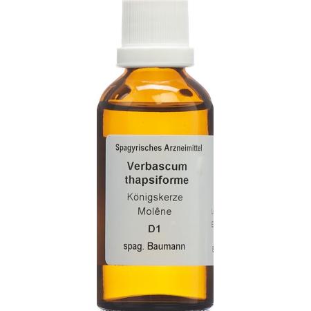 SPAGYROS SPAGYR Verbascum thapsiforme - PrimeCare Global