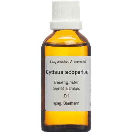 SPAGYROS SPAGYR Cytisus scoparius - PrimeCare Global