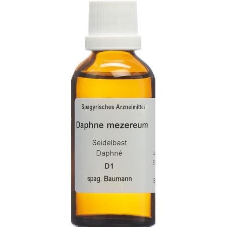 SPAGYROS SPAGYR Daphne mezereum - PrimeCare Global