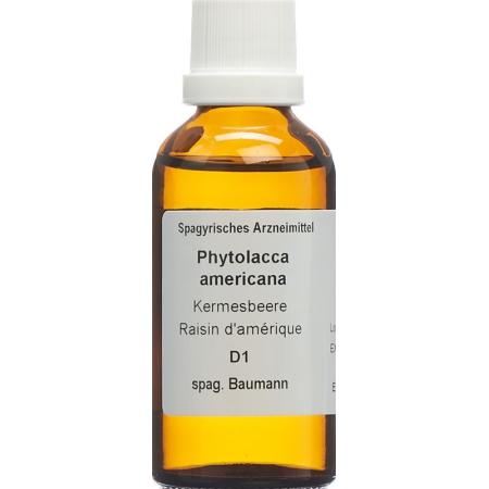 SPAGYROS SPAGYR Phytolacca americana - PrimeCare Global
