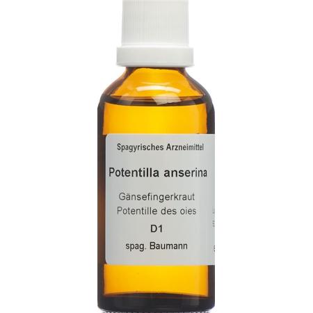 SPAGYROS SPAGYR Potentilla anserina - PrimeCare Global