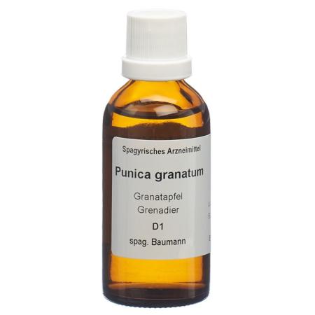 SPAGYROS SPAGYR Punica granatum - PrimeCare Global