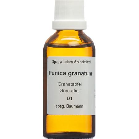 SPAGYROS SPAGYR Punica granatum - PrimeCare Global