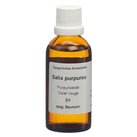 SPAGYROS SPAGYR Salix purpurea - PrimeCare Global