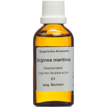 SPAGYROS SPAGYR Urginea martima - PrimeCare Global