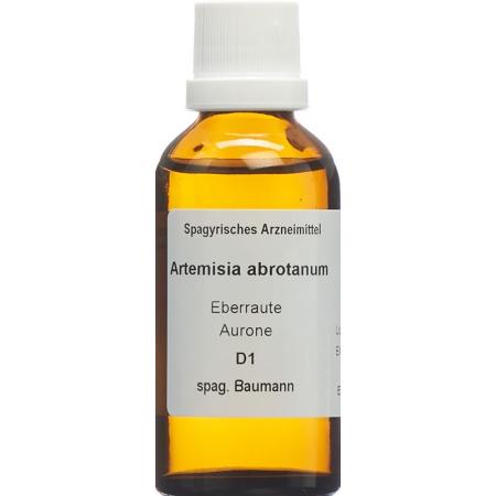 SPAGYROS SPAGYR Artemisia abrotanum - PrimeCare Global