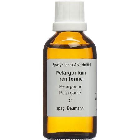 SPAGYROS SPAGYR Pelargonium renif D 1 - PrimeCare Global