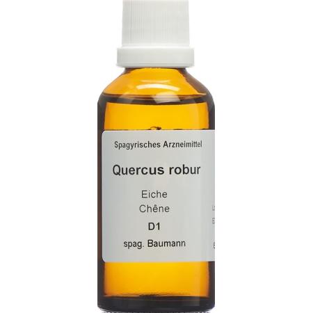 SPAGYROS SPAGYR Quercus robur - PrimeCare Global