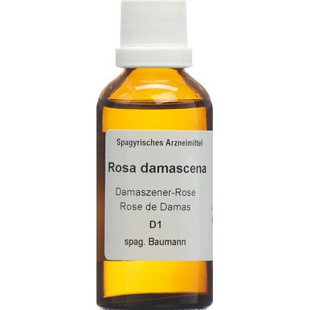 SPAGYROS SPAGYR Rosa damascena - PrimeCare Global