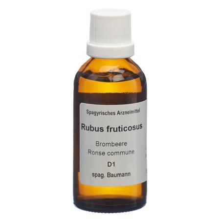 SPAGYROS SPAGYR Rubus fruticosus - PrimeCare Global