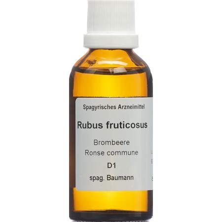 SPAGYROS SPAGYR Rubus fruticosus - PrimeCare Global