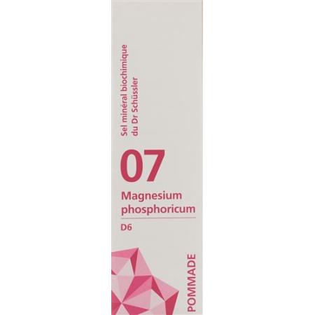 PHYTOMED SCH&Uuml;SSLER Nr7 Magnesium phosphoricum ointment D 6 75 g - PrimeCare Global