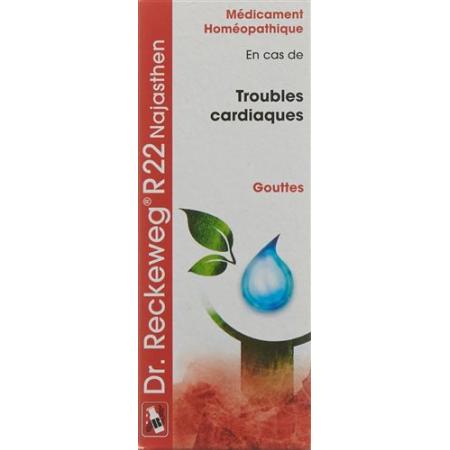 Reckeweg R22 Najasthen 50 ml Tropfen - PrimeCare Global