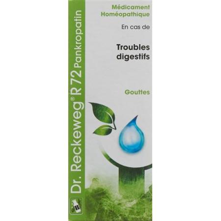 Reckeweg R72 Pankropatin Drops Bottle 50 ml - PrimeCare Global