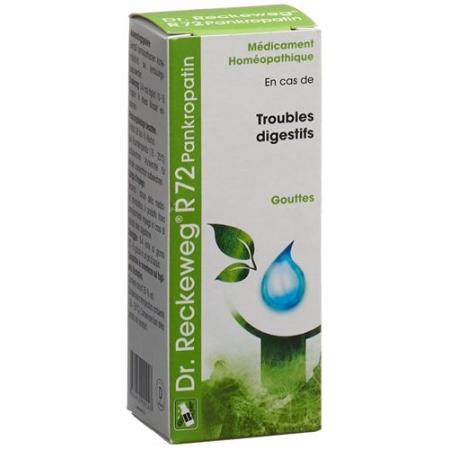 Reckeweg R72 Pankropatin Drops Bottle 50 ml - PrimeCare Global
