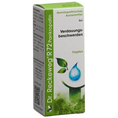 Reckeweg R72 Pankropatin Drops Bottle 50 ml - PrimeCare Global