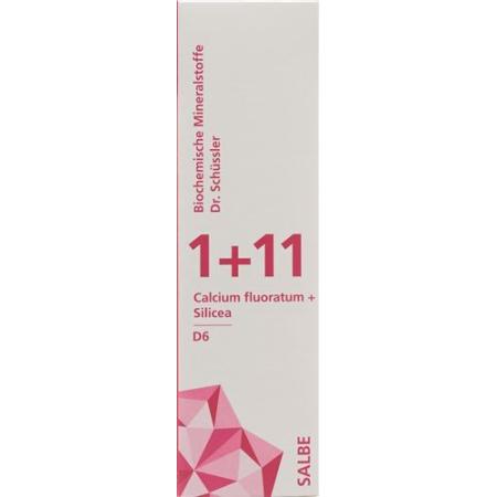 PHYTOMED SCH&Uuml;SSLER 1+11 Ointment D 6 75 g - PrimeCare Global