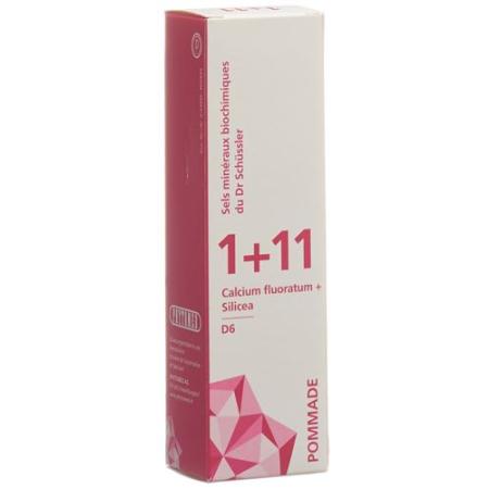 PHYTOMED SCH&Uuml;SSLER 1+11 Ointment D 6 75 g - PrimeCare Global