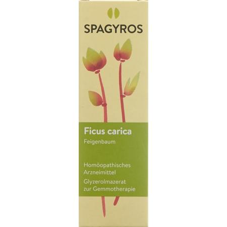 SPAGYROS GEMMO Ficus carica Glyc Maz D 1 - PrimeCare Global