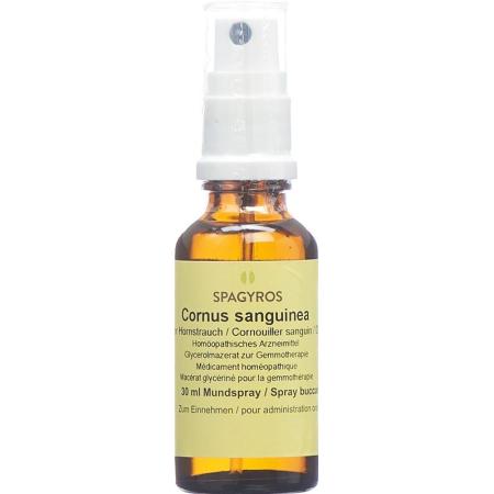 SPAGYROS GEMMO Cornus sanguin Glyc Maz D 1 - PrimeCare Global