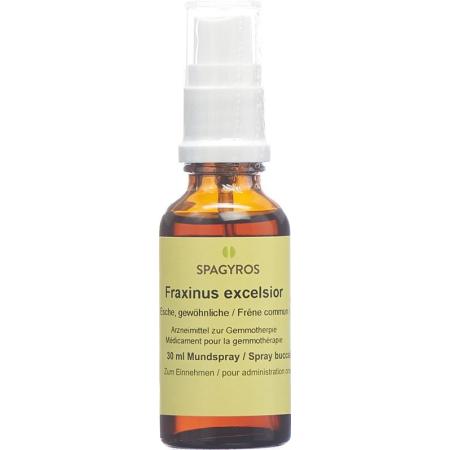 SPAGYROS GEMMO Fraxinus excel Glyc Maz D 1 - PrimeCare Global