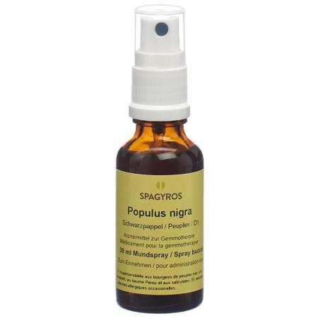 SPAGYROS GEMMO Populus nigra Glyc Maz D 1 - PrimeCare Global