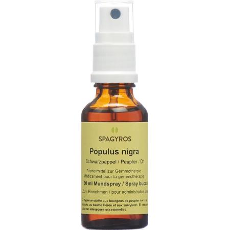 SPAGYROS GEMMO Populus nigra Glyc Maz D 1 - PrimeCare Global