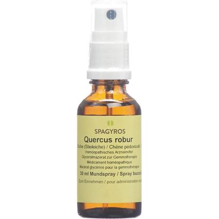 SPAGYROS GEMMO Quercus robur Glyc Maz D 1 - PrimeCare Global