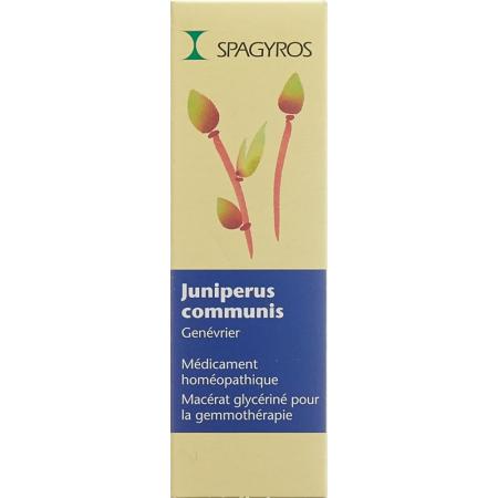 SPAGYROS GEMMO Juniperus comm Glyc Maz D 1 - PrimeCare Global