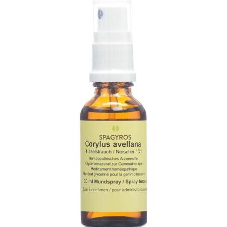 SPAGYROS GEMMO Corylus ave Glyc Maz D 1 - PrimeCare Global