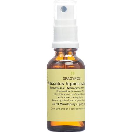 SPAGYROS GEMMO Aesculus hippo Glyc Maz D 1 - PrimeCare Global