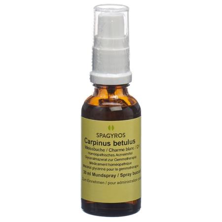 SPAGYROS GEMMO Carpinus betul Glyc Maz D 1 - PrimeCare Global