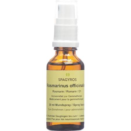 SPAGYROS GEMMO Rosmarinus off Glyc Maz D 1 - PrimeCare Global