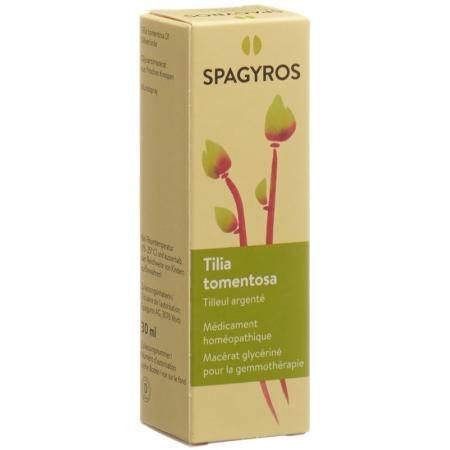 SPAGYROS GEMMO Tilia tomentosa Glyc Maz D 1 - PrimeCare Global