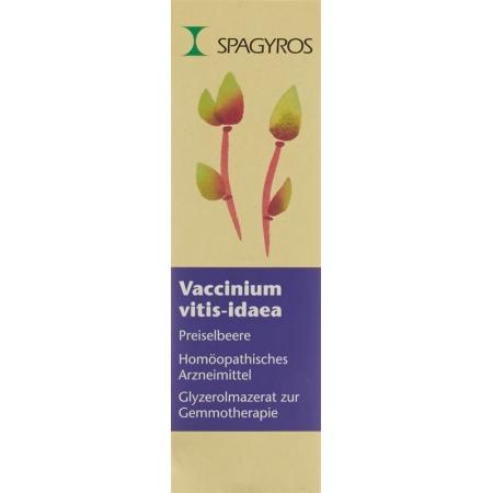SPAGYROS GEMMO Vacc vit idaea Glyc Maz D 1 - PrimeCare Global