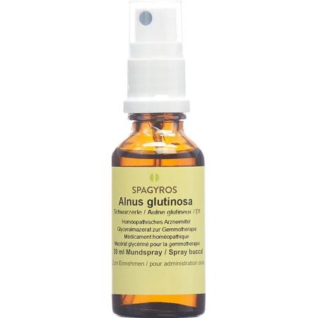 SPAGYROS GEMMO Alnus glutinosa Glyc Maz D 1 - PrimeCare Global