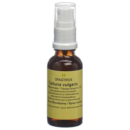 SPAGYROS GEMMO Calluna vulgar Glyc Maz D 1 - PrimeCare Global