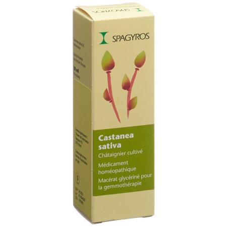 SPAGYROS GEMMO Castanea sativa Glyc Maz D 1 - PrimeCare Global