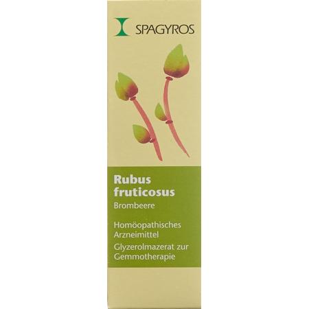SPAGYROS GEMMO Rubus fruticos Glyc Maz D 1 - PrimeCare Global