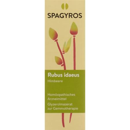 SPAGYROS GEMMO Rubus idaeus Glyc Maz D 1 - PrimeCare Global