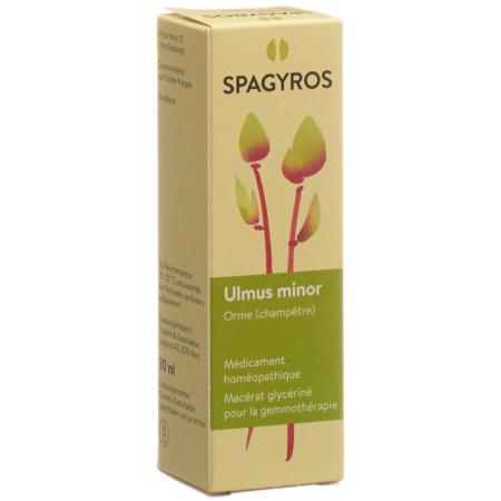 SPAGYROS GEMMO Ulmus minor Glyc Maz D 1 - PrimeCare Global