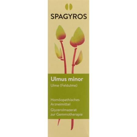 SPAGYROS GEMMO Ulmus minor Glyc Maz D 1 - PrimeCare Global