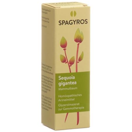 SPAGYROS GEMMO Sequoia gigant Glyc Maz D 4 - PrimeCare Global
